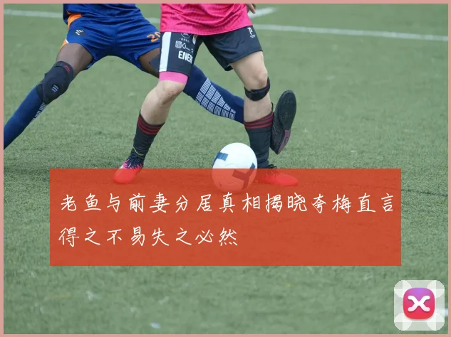 老鱼与前妻分居真相揭晓夸梅直言得之不易失之必然