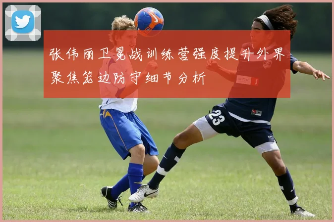 张伟丽卫冕战训练营强度提升外界聚焦笼边防守细节分析