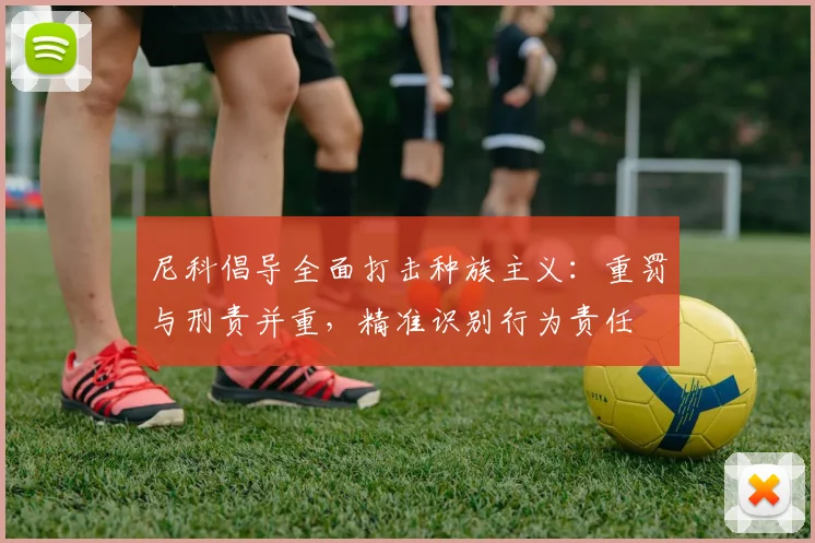 尼科倡导全面打击种族主义：重罚与刑责并重，精准识别行为责任
